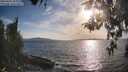 ./images/koeye/fitz-hugh/20260430/fitz-hugh20260430_183001M.jpg
