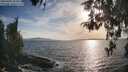 ./images/koeye/fitz-hugh/20260430/fitz-hugh20260430_183501M.jpg