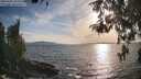 ./images/koeye/fitz-hugh/20260430/fitz-hugh20260430_184002M.jpg