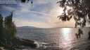 ./images/koeye/fitz-hugh/20260430/fitz-hugh20260430_184501M.jpg