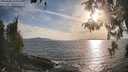 ./images/koeye/fitz-hugh/20260430/fitz-hugh20260430_185002M.jpg