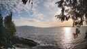 ./images/koeye/fitz-hugh/20260430/fitz-hugh20260430_190501M.jpg