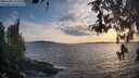./images/koeye/fitz-hugh/20260430/fitz-hugh20260430_193501M.jpg