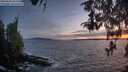./images/koeye/fitz-hugh/20260430/fitz-hugh20260430_211502M.jpg