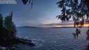 ./images/koeye/fitz-hugh/20260430/fitz-hugh20260430_212501M.jpg