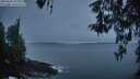 ./images/koeye/fitz-hugh/20260501/fitz-hugh20260501_054001M.jpg
