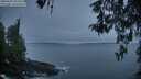 ./images/koeye/fitz-hugh/20260501/fitz-hugh20260501_054501M.jpg
