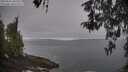 ./images/koeye/fitz-hugh/20260501/fitz-hugh20260501_064501M.jpg
