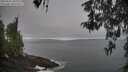 ./images/koeye/fitz-hugh/20260501/fitz-hugh20260501_070001M.jpg