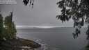 ./images/koeye/fitz-hugh/20260501/fitz-hugh20260501_073001M.jpg