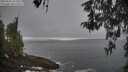 ./images/koeye/fitz-hugh/20260501/fitz-hugh20260501_074501M.jpg