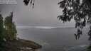 ./images/koeye/fitz-hugh/20260501/fitz-hugh20260501_081002M.jpg