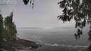 ./images/koeye/fitz-hugh/20260501/fitz-hugh20260501_100501M.jpg