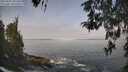 ./images/koeye/fitz-hugh/20260501/fitz-hugh20260501_101502M.jpg