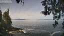 ./images/koeye/fitz-hugh/20260501/fitz-hugh20260501_111001M.jpg