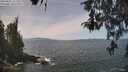 ./images/koeye/fitz-hugh/20260501/fitz-hugh20260501_121501M.jpg