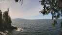 ./images/koeye/fitz-hugh/20260501/fitz-hugh20260501_131001M.jpg
