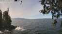 ./images/koeye/fitz-hugh/20260501/fitz-hugh20260501_132001M.jpg