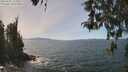 ./images/koeye/fitz-hugh/20260501/fitz-hugh20260501_134001M.jpg