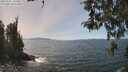 ./images/koeye/fitz-hugh/20260501/fitz-hugh20260501_134502M.jpg