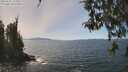 ./images/koeye/fitz-hugh/20260501/fitz-hugh20260501_135002M.jpg