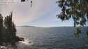 ./images/koeye/fitz-hugh/20260501/fitz-hugh20260501_142001M.jpg