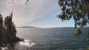 ./images/koeye/fitz-hugh/20260501/fitz-hugh20260501_143501M.jpg
