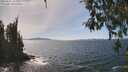 ./images/koeye/fitz-hugh/20260501/fitz-hugh20260501_144001M.jpg