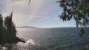 ./images/koeye/fitz-hugh/20260501/fitz-hugh20260501_145002M.jpg