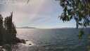 ./images/koeye/fitz-hugh/20260501/fitz-hugh20260501_145502M.jpg