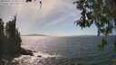 ./images/koeye/fitz-hugh/20260501/fitz-hugh20260501_152001M.jpg