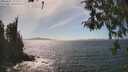 ./images/koeye/fitz-hugh/20260501/fitz-hugh20260501_152501M.jpg