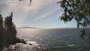 ./images/koeye/fitz-hugh/20260501/fitz-hugh20260501_153001M.jpg