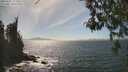 ./images/koeye/fitz-hugh/20260501/fitz-hugh20260501_153501M.jpg