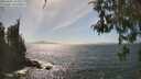 ./images/koeye/fitz-hugh/20260501/fitz-hugh20260501_154001M.jpg