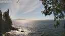 ./images/koeye/fitz-hugh/20260501/fitz-hugh20260501_154501M.jpg