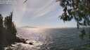./images/koeye/fitz-hugh/20260501/fitz-hugh20260501_155001M.jpg