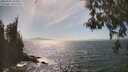 ./images/koeye/fitz-hugh/20260501/fitz-hugh20260501_155502M.jpg