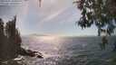 ./images/koeye/fitz-hugh/20260501/fitz-hugh20260501_160501M.jpg