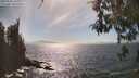 ./images/koeye/fitz-hugh/20260501/fitz-hugh20260501_161001M.jpg