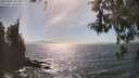 ./images/koeye/fitz-hugh/20260501/fitz-hugh20260501_161501M.jpg