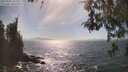./images/koeye/fitz-hugh/20260501/fitz-hugh20260501_162001M.jpg