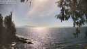 ./images/koeye/fitz-hugh/20260501/fitz-hugh20260501_162502M.jpg