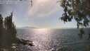./images/koeye/fitz-hugh/20260501/fitz-hugh20260501_163002M.jpg