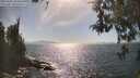 ./images/koeye/fitz-hugh/20260501/fitz-hugh20260501_163501M.jpg