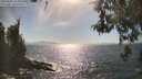 ./images/koeye/fitz-hugh/20260501/fitz-hugh20260501_164001M.jpg