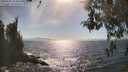 ./images/koeye/fitz-hugh/20260501/fitz-hugh20260501_164501M.jpg