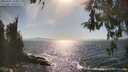 ./images/koeye/fitz-hugh/20260501/fitz-hugh20260501_165002M.jpg