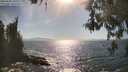 ./images/koeye/fitz-hugh/20260501/fitz-hugh20260501_165502M.jpg