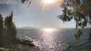 ./images/koeye/fitz-hugh/20260501/fitz-hugh20260501_170501M.jpg